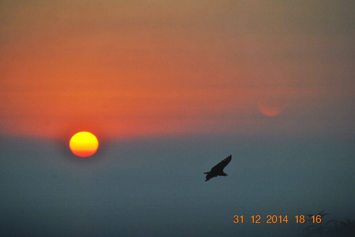 imagini hotel LAS BRISAS